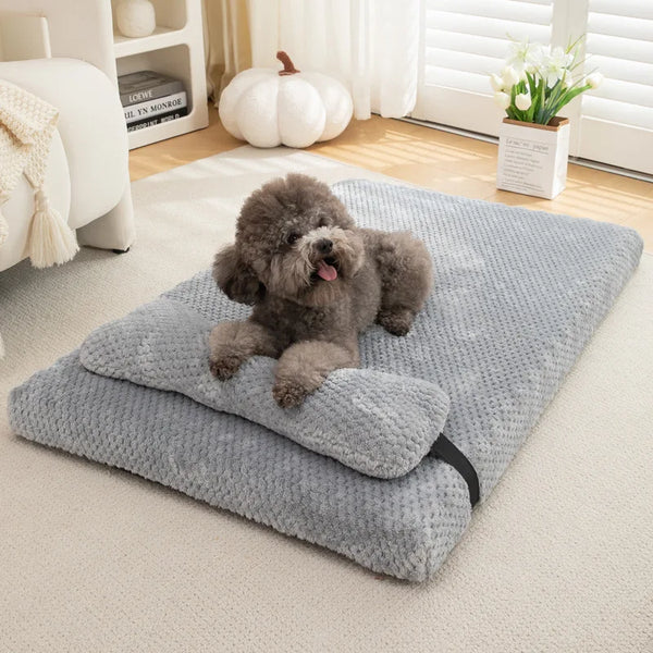 Cozy Comfort Large Dog Bed